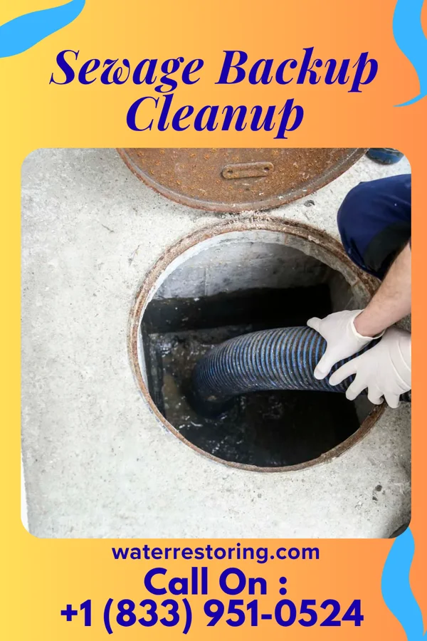 Sewage Backup Cleanup in Celina, TX
